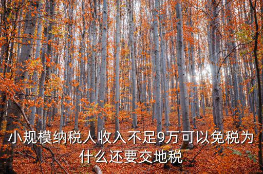 為什么納地稅，為什么要規(guī)定納稅地點(diǎn)