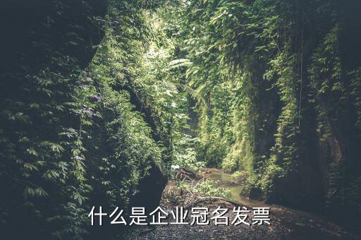 冠名發(fā)票屬于什么發(fā)票，什么是企業(yè)冠名發(fā)票