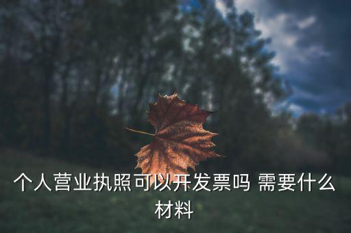 個體打印發(fā)票需要什么，個人購物開增值稅普通發(fā)票需要什么資料