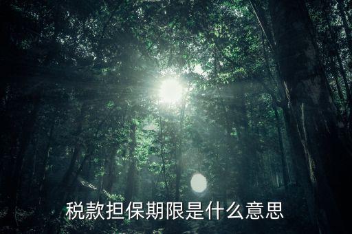 納稅擔(dān)保人什么意思，稅款擔(dān)保期限是什么意思