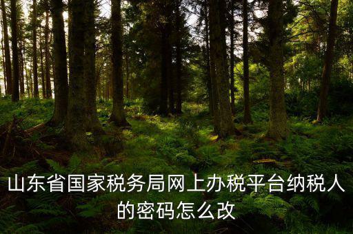 山東省國(guó)家稅務(wù)局網(wǎng)上辦稅平臺(tái)納稅人的密碼怎么改