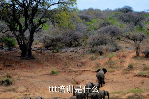 納稅人學堂培訓干什么，去各種培訓班做老師有前途么