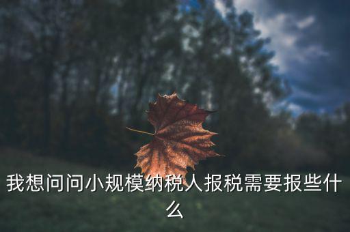 小規(guī)模國稅申報些什么，小規(guī)模納稅人國稅需要報什么資料