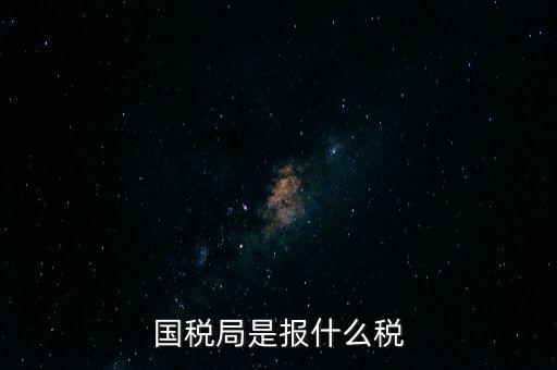 國稅局是報什么稅