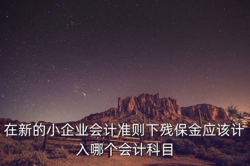 在新的小企業(yè)會計準則下殘保金應該計入哪個會計科目