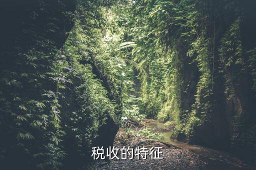 稅收的特征