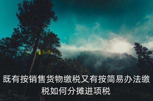 進項稅分攤是什么意思，既有按銷售貨物繳稅又有按簡易辦法繳稅如何分攤進項稅