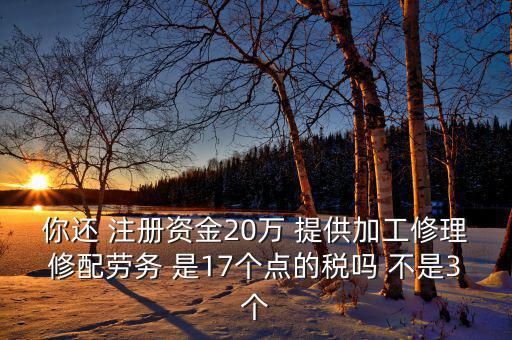 你還 注冊資金20萬 提供加工修理修配勞務(wù) 是17個點的稅嗎 不是3個