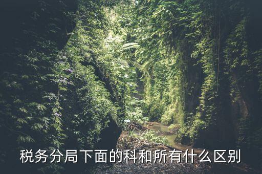 稅局計(jì)統(tǒng)科是什么意思，稅務(wù)分局下面的科和所有什么區(qū)別