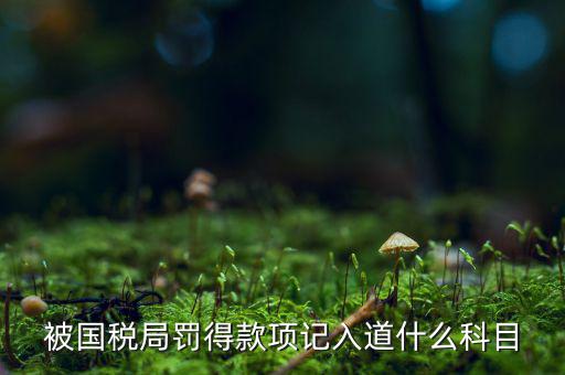 被國稅局罰得款項(xiàng)記入道什么科目