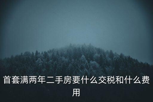 首套滿兩年二手房要什么交稅和什么費(fèi)用