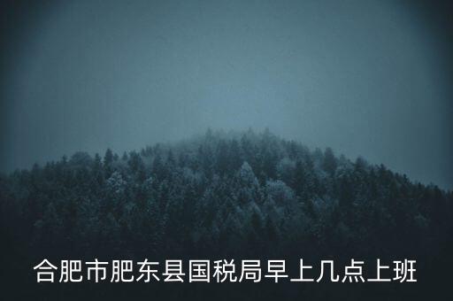 安徽國稅什么時候上班時間，國稅局的上班時間