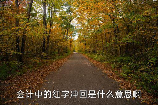 會(huì)計(jì)中的紅字沖回是什么意思啊