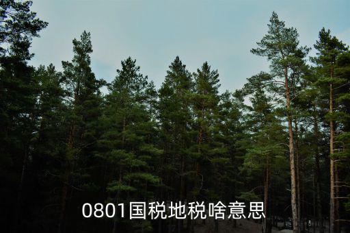 鹽城地稅三化是什么意思，地稅三優(yōu)兩促進(jìn)是什么意思