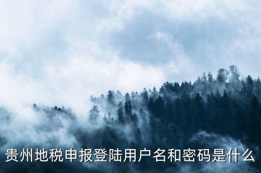 地稅登錄名密碼是什么意思，地稅申報(bào)的用戶(hù)名和密碼是什么