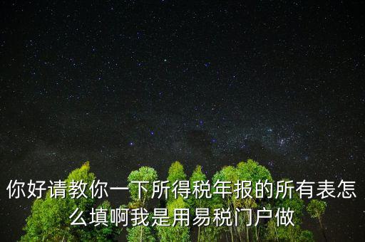 你好請教你一下所得稅年報的所有表怎么填啊我是用易稅門戶做