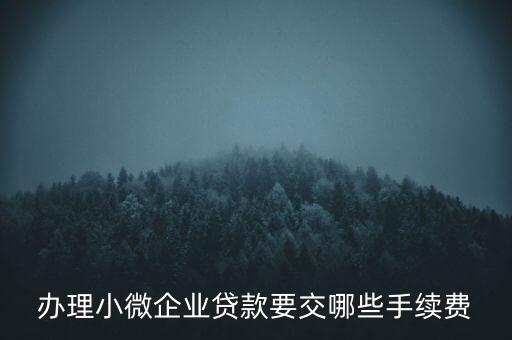 辦理小微企業(yè)貸款要交哪些手續(xù)費