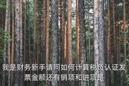 認證業(yè)務(wù)是什么稅種，一般納稅人認證企業(yè)每個月最低要繳多少稅有哪些稅新注冊公司是