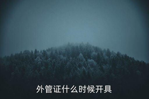 外管證什么時候開具