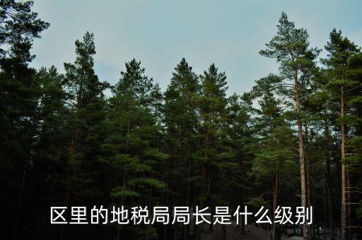 安徽省地稅局局長是什么級別，區(qū)里的地稅局局長是什么級別