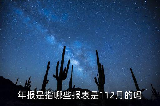 年報(bào)是指哪些報(bào)表是112月的嗎