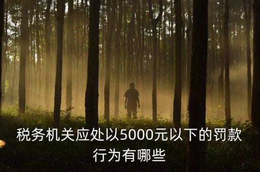 稅務(wù)機(jī)關(guān)應(yīng)處以5000元以下的罰款行為有哪些