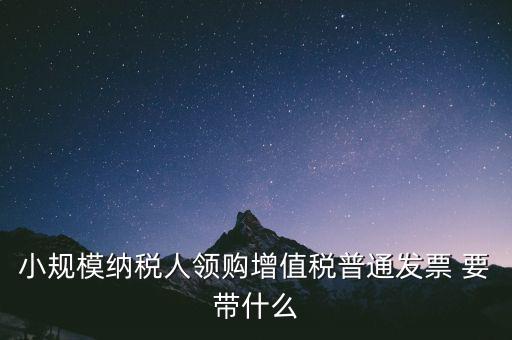 小規(guī)模納稅人領(lǐng)購(gòu)增值稅普通發(fā)票 要帶什么