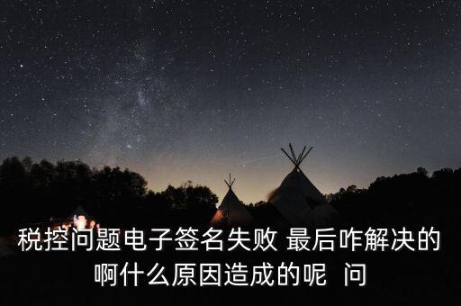 什么是稅控簽名，報稅時數(shù)字簽名是甚么意思