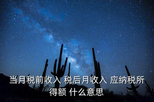 當月稅前收入 稅后月收入 應納稅所得額 什么意思