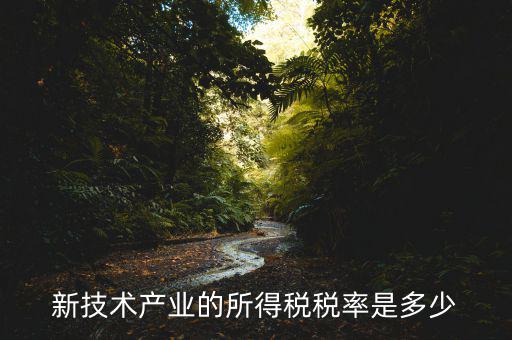 新技術產(chǎn)業(yè)的所得稅稅率是多少