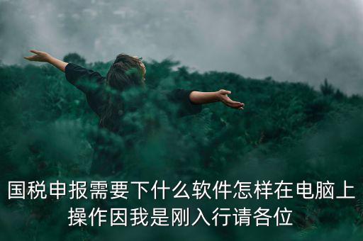 國稅申報(bào)需要下什么軟件怎樣在電腦上操作因我是剛?cè)胄姓?qǐng)各位