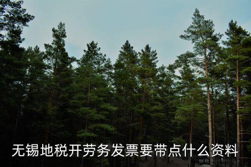 無錫地稅開勞務(wù)發(fā)票要帶點(diǎn)什么資料