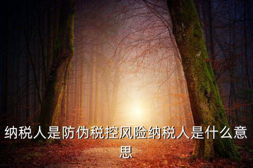 納稅人是防偽稅控風(fēng)險(xiǎn)納稅人是什么意思