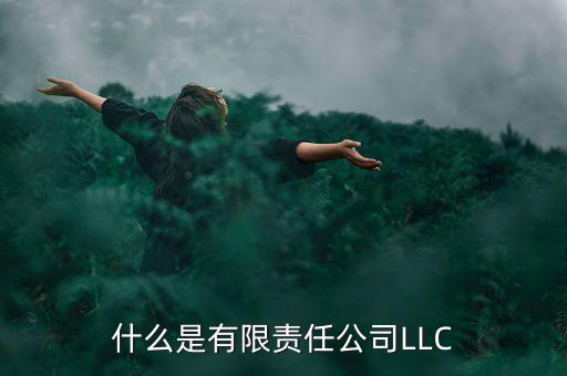 什么是有限責任公司LLC