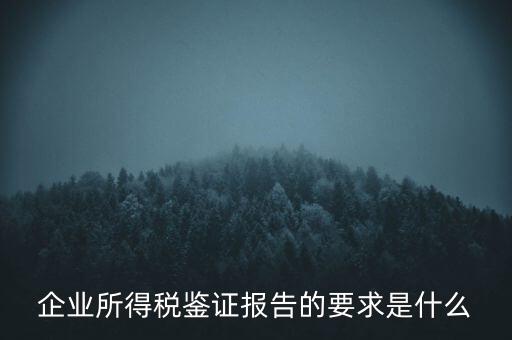 企業(yè)所得稅鑒證報告的要求是什么