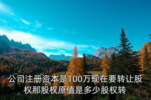 公司注冊(cè)資本是100萬(wàn)現(xiàn)在要轉(zhuǎn)讓股權(quán)那股權(quán)原值是多少股權(quán)轉(zhuǎn)