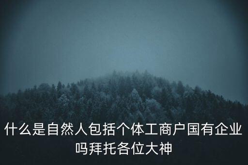 什么是稅務(wù)中的自然人，會計中自然人所指的是那種人