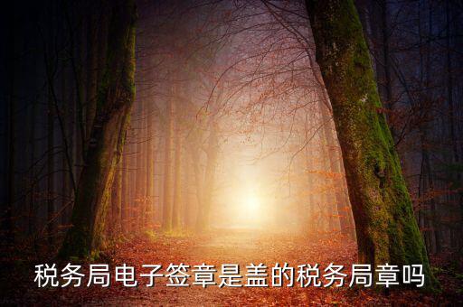 稅務(wù)局電子簽章是什么，在國稅系統(tǒng)電子簽章時為什么不是每次都提示輸入口令