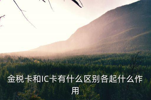 報稅ic卡是什么，報稅IC卡是什么東西有什么用