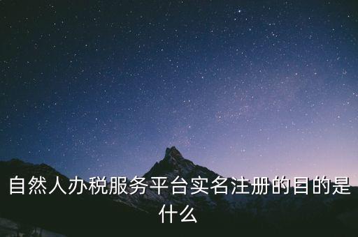 自然人辦稅服務(wù)平臺實(shí)名注冊的目的是什么