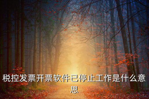 稅控發(fā)票開票軟件已停止工作是什么意思