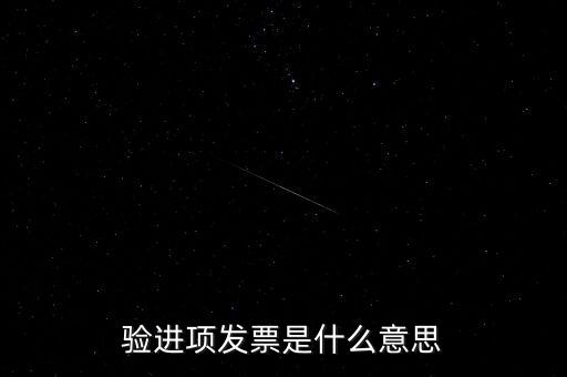 驗進項發(fā)票是什么意思