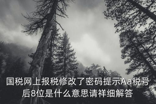 國稅網(wǎng)上報稅修改了密碼提示Aa稅號后8位是什么意思請祥細解答