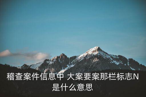 稽查案件信息中 大案要案那欄標(biāo)志N是什么意思