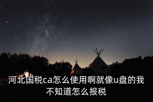 河北國稅ca怎么使用啊就像u盤的我不知道怎么報稅