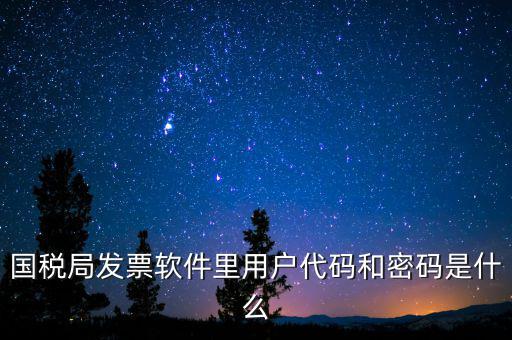 登錄稅務(wù)開票密碼是什么，國稅第一次網(wǎng)上申報的登陸密碼是什么