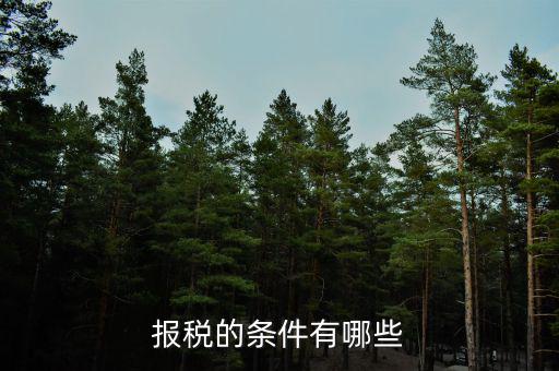 集團公司的申報納稅有什么要求，公司申請申請一般納稅人需要條件