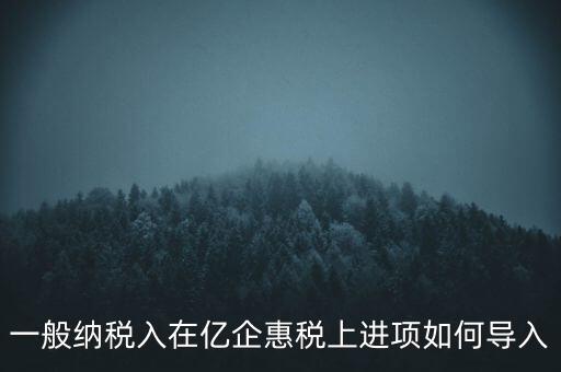 一般納稅入在億企惠稅上進項如何導(dǎo)入