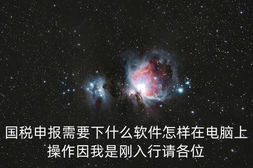 國(guó)稅申報(bào)需要下什么軟件怎樣在電腦上操作因我是剛?cè)胄姓?qǐng)各位