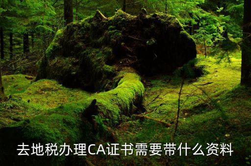 地稅局ca證書是什么，去地稅辦理CA證書需要帶什么資料